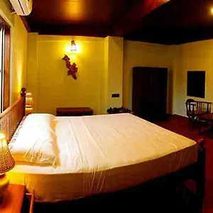 rain-forest-ayur-county-resort.kerala-hotels.net/